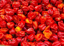 Cameroon Fresh Pepper